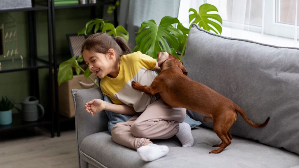 alergia em criancas 2 Alergia em crianças: como proteger sua família e pets com o sistema Hyla